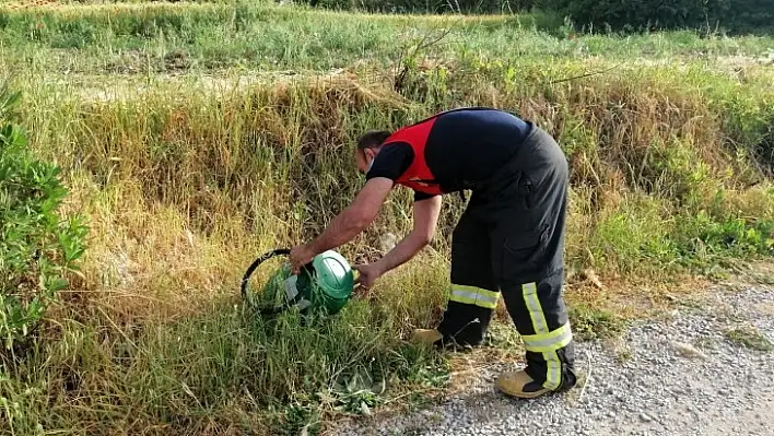 Eve giren yılanı itfaiye yakaladı