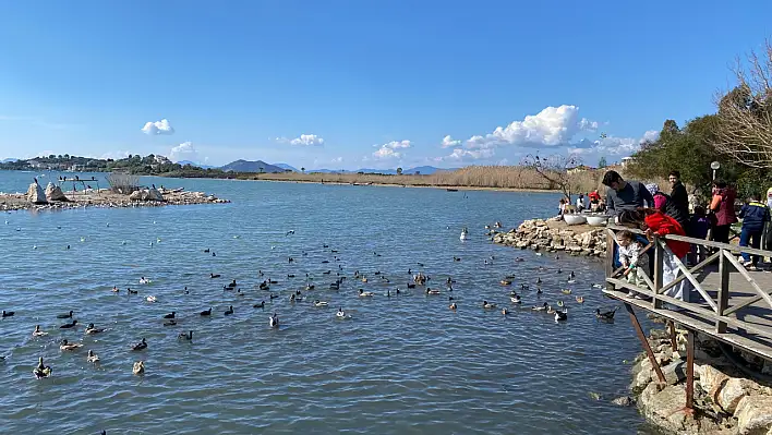 Fethiye'de denizin çekildiği Ördek Adası'nda deniz normale döndü