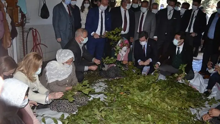 Fethiye'de Endemik Bitkiler Müzesi kurulacak