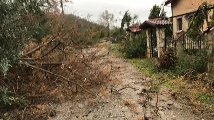 Fethiye'de etkili yağış