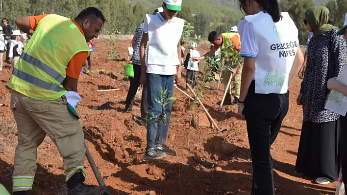 Fethiye'de Fidan Dikim Etkinliği