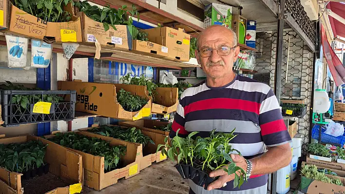 Fethiye'de Hobi Bahçelerinde Yetiştirilen Sebzelerde Dikkat Edilmesi Gerekenler