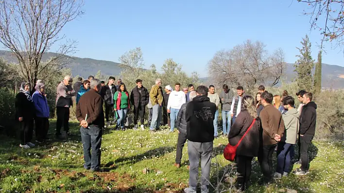 Fethiye İlçe Tarım'dan Mühendis Adaylarına Zeytin Dersi