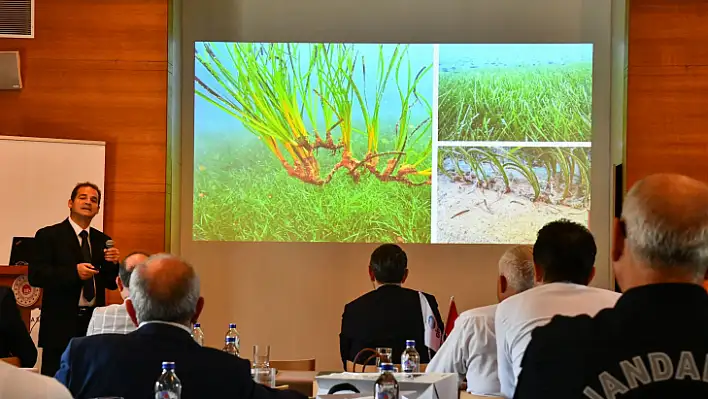 Fethiye körfeziyle ilgili bilgilendirme toplantısı gerçekleştirildi