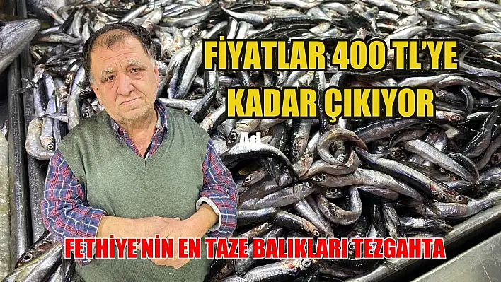 Fethiye'nin En Taze Balıkları Tezgahta: Fiyatlar 400 TL'ye Kadar Çıkıyor