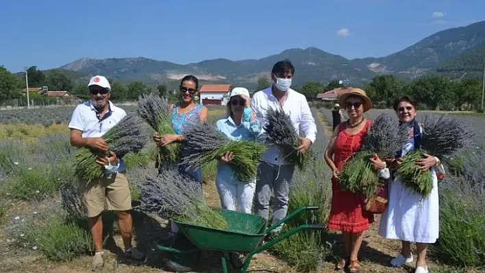 Fethiye'nin Koku Vadisi'nde ilk hasat