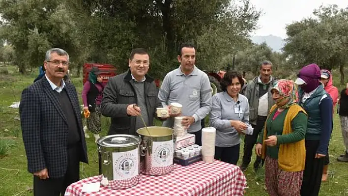 Fiyat Baskısı Sebebiyle Üretici Umutsuz