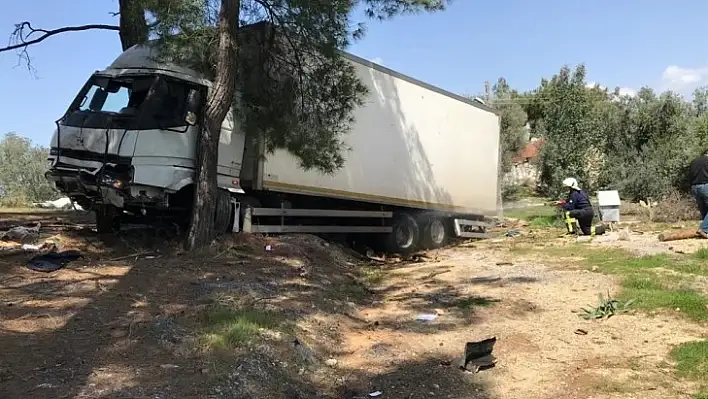 Freni Boşalan Kamyon Ormana Daldı