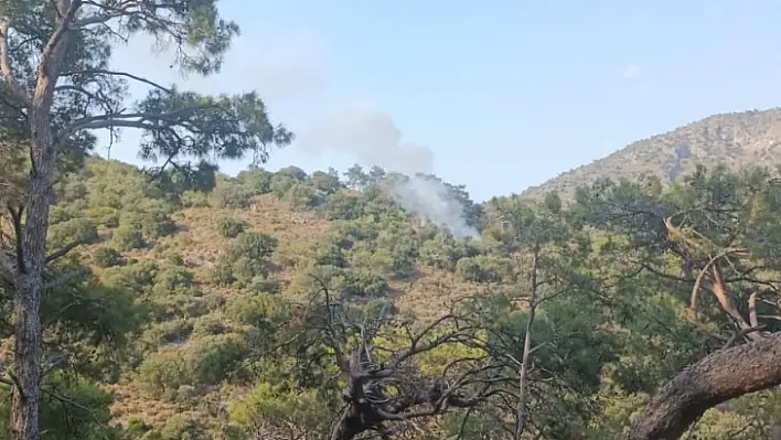 Gemiler Koyu'nda Yangın Çıktı