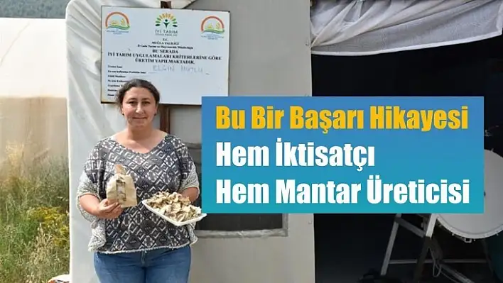 Hem İktisatçı Hem Mantar Üreticisi