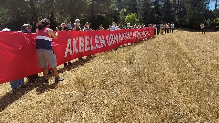 İkizköy Akbelen Ormanı Hem Muğla'nın hem de Türkiye'nin sorunudur!