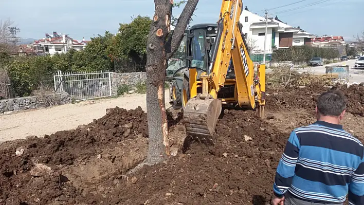 İNÖNÜ BULVARI'NDA AĞAÇLAR TAŞINIYOR