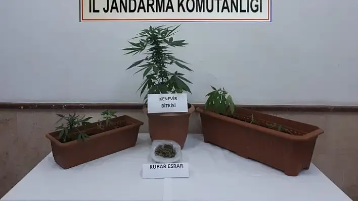 Jandarmadan, uyuşturucuya geçit yok