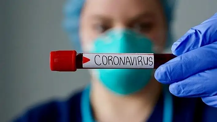 Koronavirüs 12 Can Aldı
