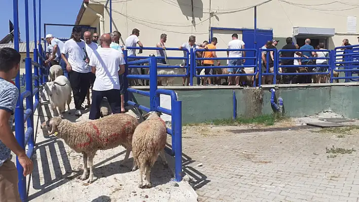 Kurban Kesim Yerlerinde Yoğunluk Yaşanıyor