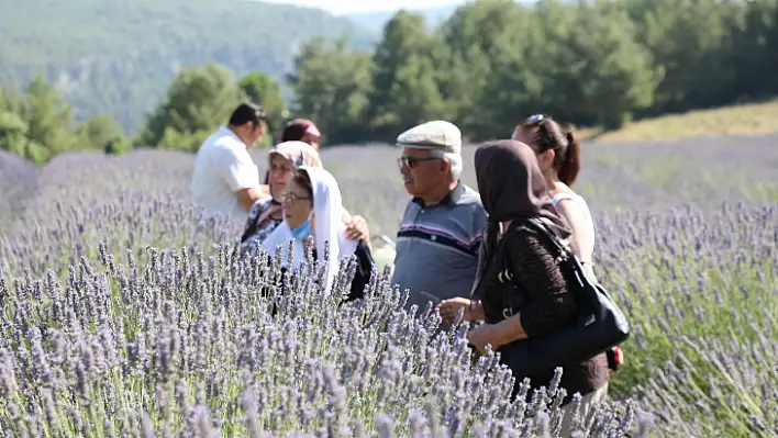 Lavanta Bahçesi'ne Ziyaretçi Akını