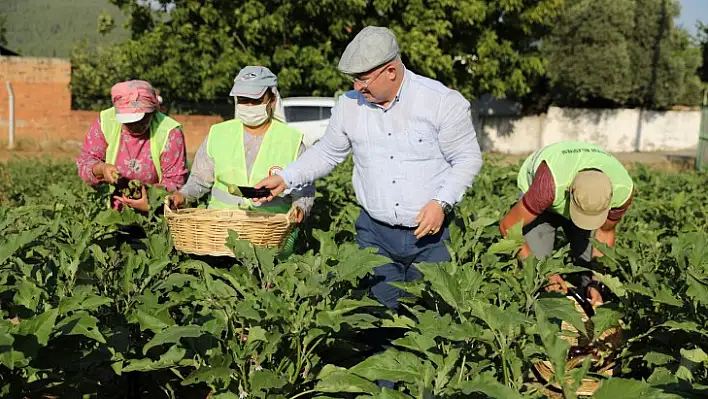 Menteşe Belediyesi  'Tarım Zirvesi'ne Katılıyor