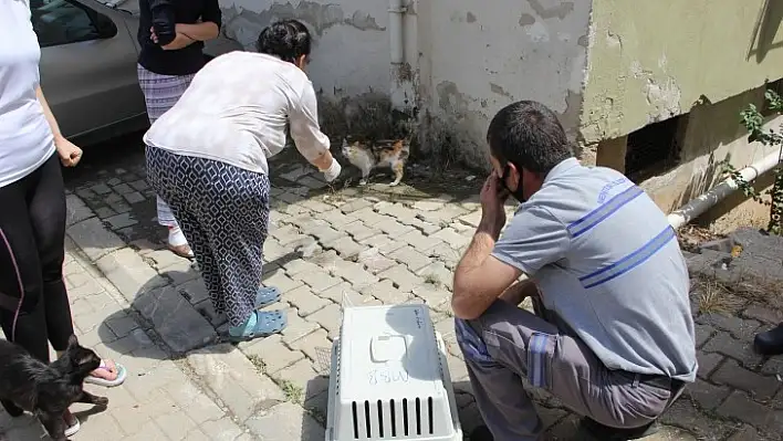 Menteşe'de Kan Donduran Olay !