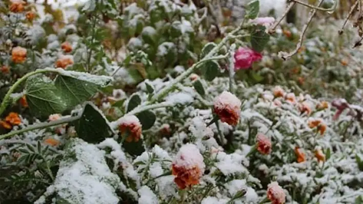 Meteorolojiden don uyarısı!