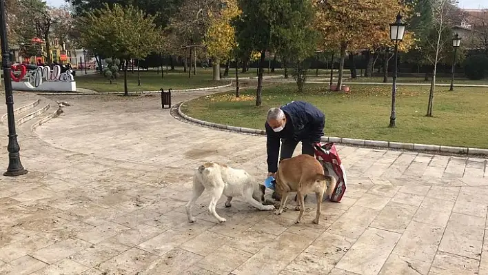 Milas Belediyesi Minik Dostlarımızın Yanında