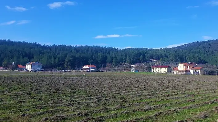 Muğla Büyükşehir ve Fethiye Belediyesinden Üreticiye Büyük Destek 'Üzüm Bağı' Projesi