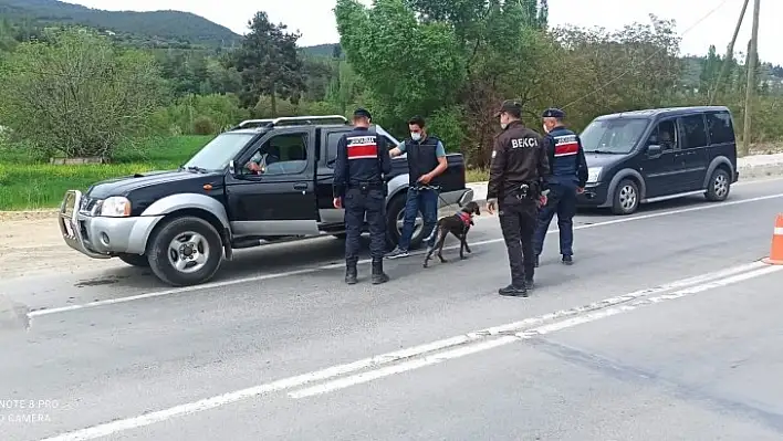 Muğla'da 17 günlük kısıtlamada ceza yağdı