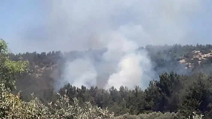 Muğla'da ki orman yangını söndürüldü