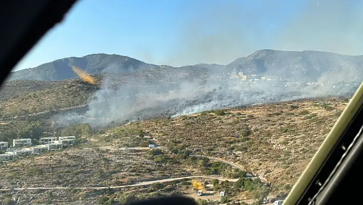 Muğla'da orman yangını