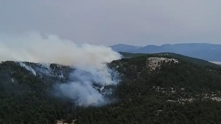 Muğla Milas'ta Orman Yangını