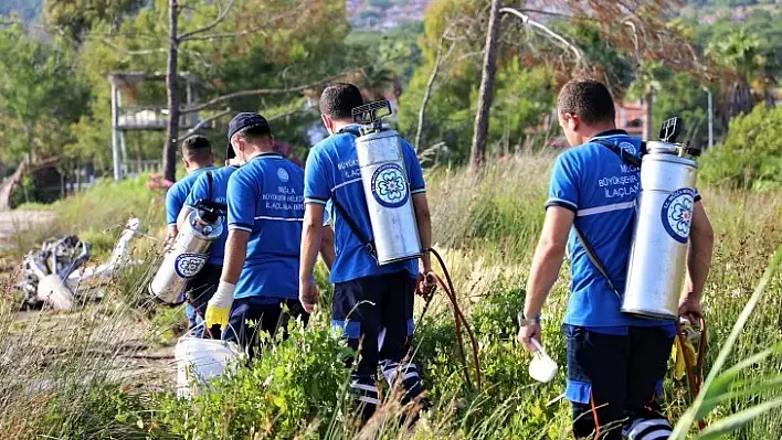 Muğla'da Vektör İle Mücadelede Devam Ediyor