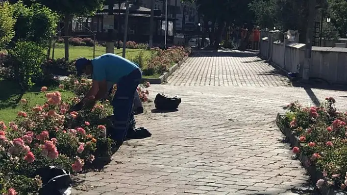 Ortaca yaz ayına hazır