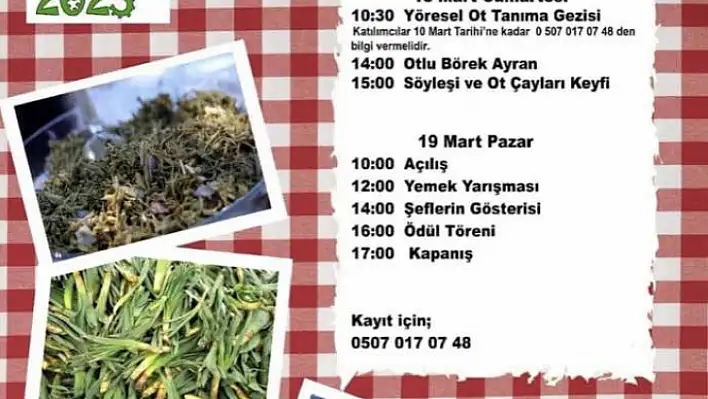 OT YEMEKLERİ FESTİVALİ BAŞLIYOR