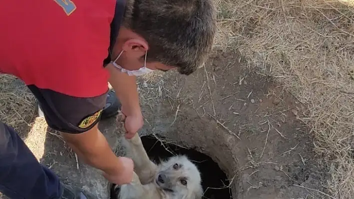 Sevimli Köpek, İtfaiyenin Yardımı İle Kurtuldu