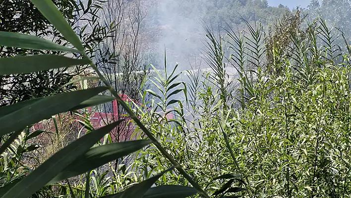 Seydikemer'de korkutan sazlık yangını