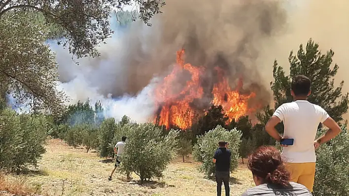 Seydikemer yangını devam ediyor