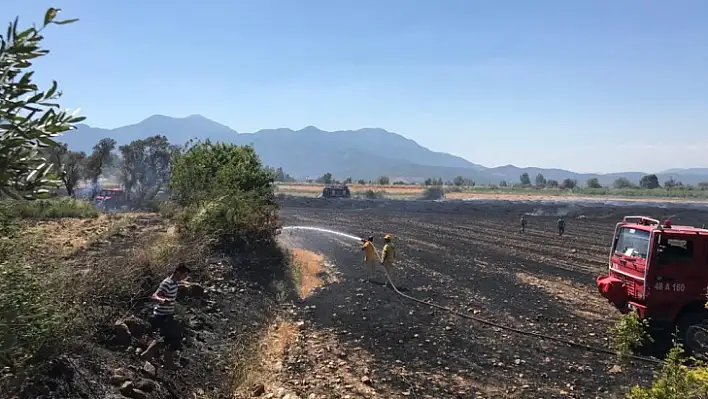 Seydikemerde'ki anız yangınında koyunlarda telef oldu