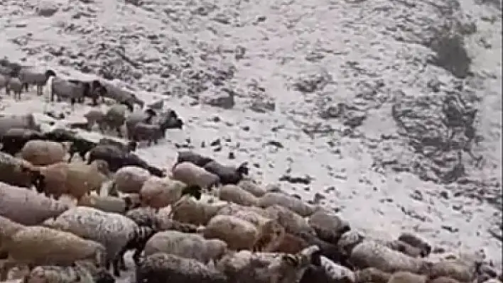 Seydikemer'de Yaylalar Haziran Ayında Beyaza Büründü