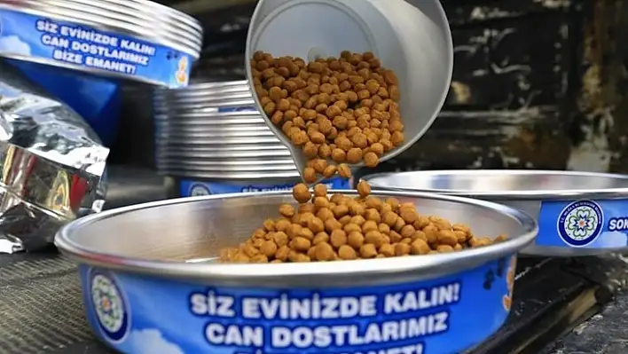 Sokak Hayvanlarına Yem Takviyesi