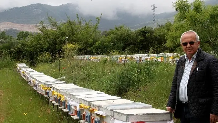 TAB Başkanı Şahin: 'Çam Balı Gıda Kodeksine Girdi'