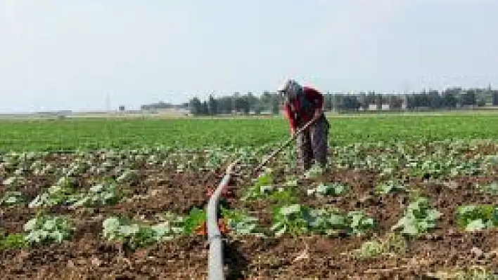 Tarım Ürünleri Üretici Fiyat Endeksi yıllık yüzde 36,39 arttı