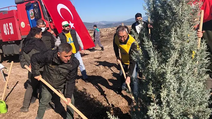 Türk-Kore Dostluk Ormanlarının 5'.si Milas'ta oluşturuldu 