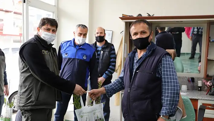 Vatandaşlara ücretsiz fidan dağıtıldı