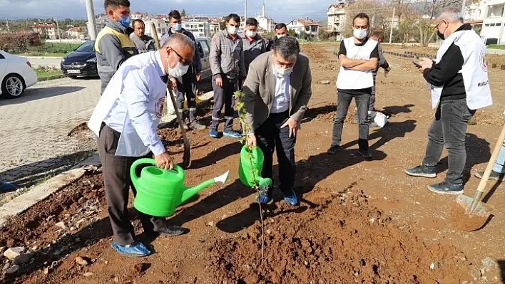 Vefat eden sağlık çalışanları anısına fidan diktiler