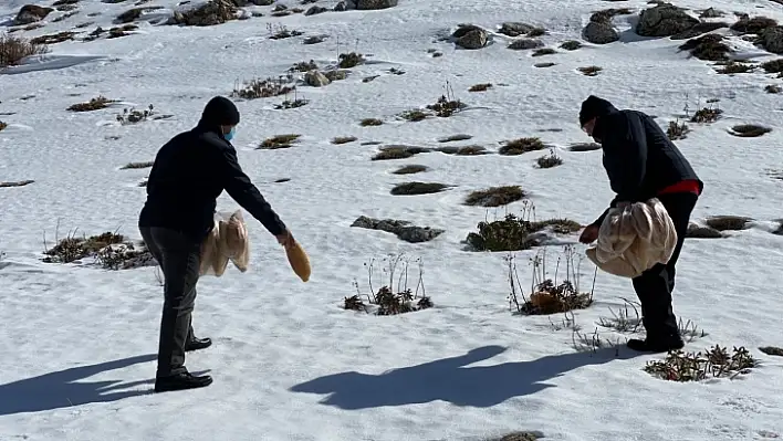 Yaban hayatına destek verdiler