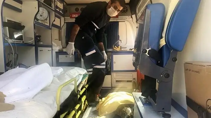 Yaralı Caretta Carettanın Yardımına Petbulance Ekibi Yetişti