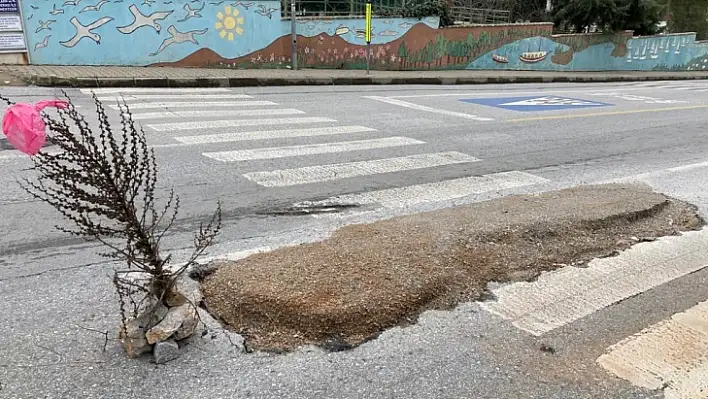 'Yaya geçidi sizlere ömür'