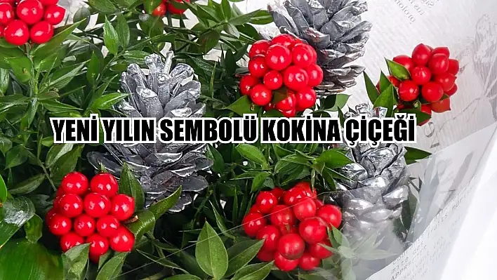 Yeni Yılın Vazgeçilmez Sembolü Kokina Çiçeği