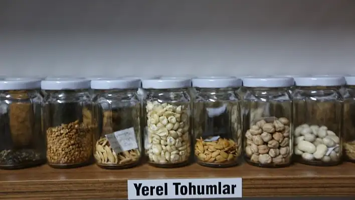 Yerel Tohum Ulusal Güç
