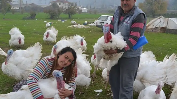 Yılbaşı hindilerine talep artıyor