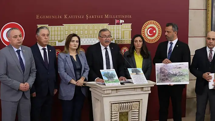 ZEYTİN ÜRETEN İLLERİN CHP'Lİ VEKİLLERİ DANIŞTAY'A YÜRÜTMEYİ DURDURMA ÇAĞRISI YAPTI